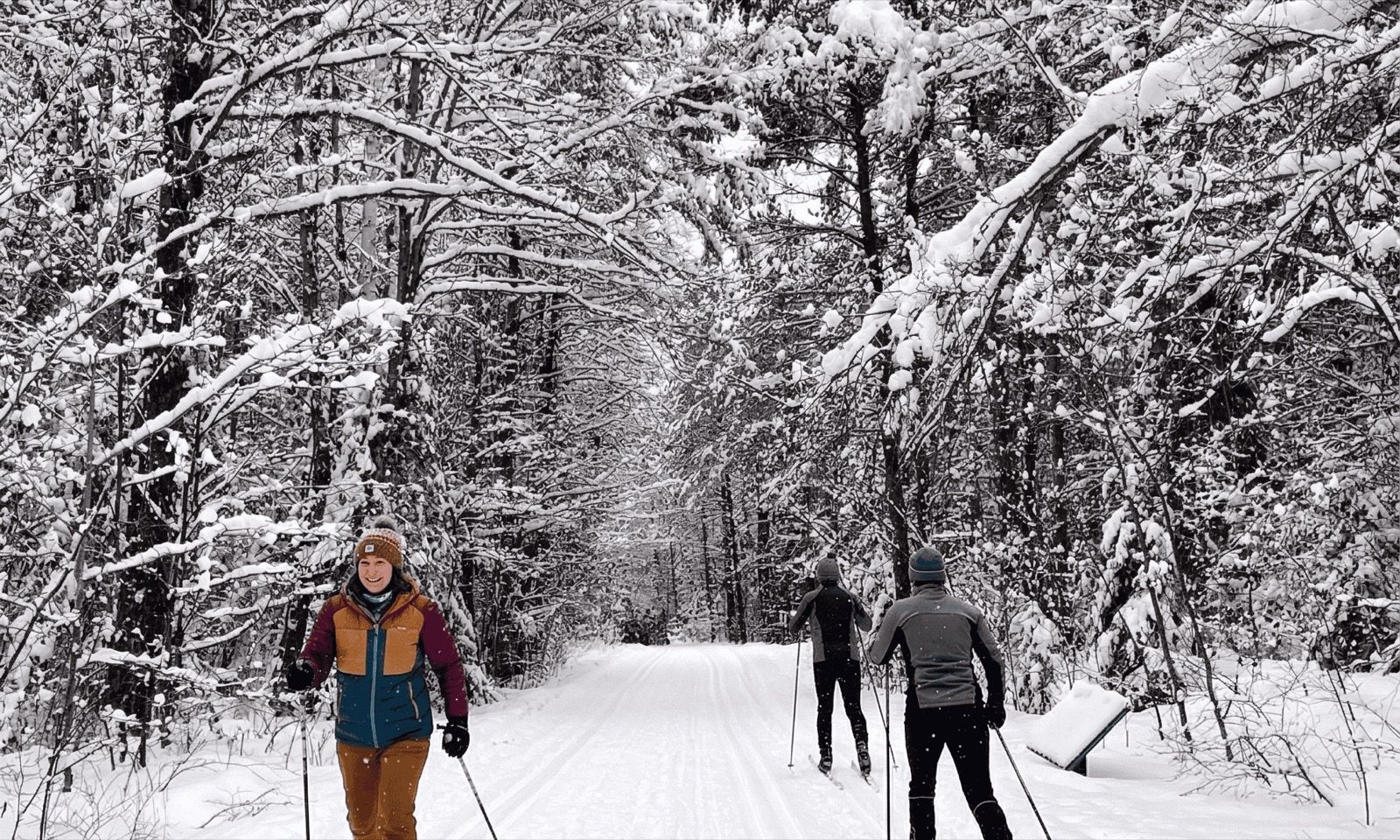 Cross Country Skiing in Muskoka